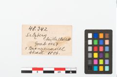 Foto von Bronzefibelnadel (NHMW-PRAE-048342)